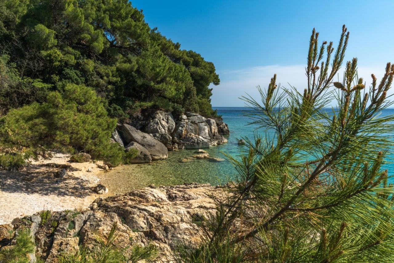 Апартаменты Galapagus Privat Beach & Boat Dock Метайна Экстерьер фото